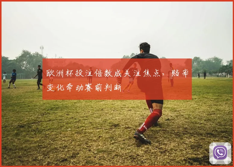 欧洲杯投注倍数成关注焦点,赔率变化牵动赛前判断