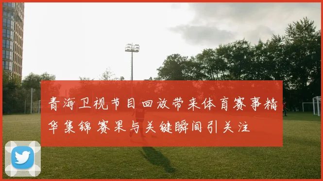 青海卫视节目回放带来体育赛事精华集锦 赛果与关键瞬间引关注