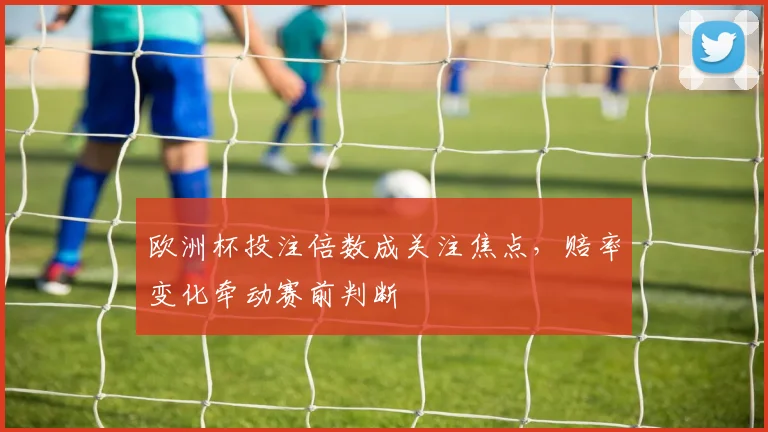 欧洲杯投注倍数成关注焦点，赔率变化牵动赛前判断
