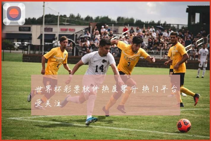 世界杯彩票软件热度攀升 热门平台受关注