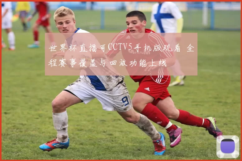 世界杯直播可CCTV5手机版观看 全程赛事覆盖与回放功能上线